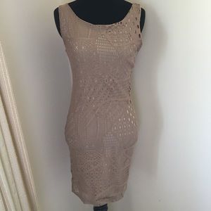 Double Zero Taupe Mini Dress